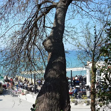 Eni Zadar