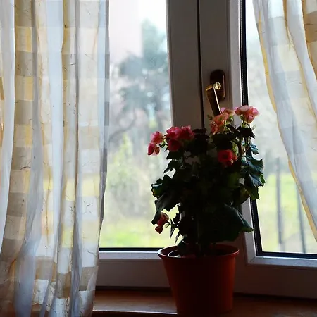 Eni Apartment *